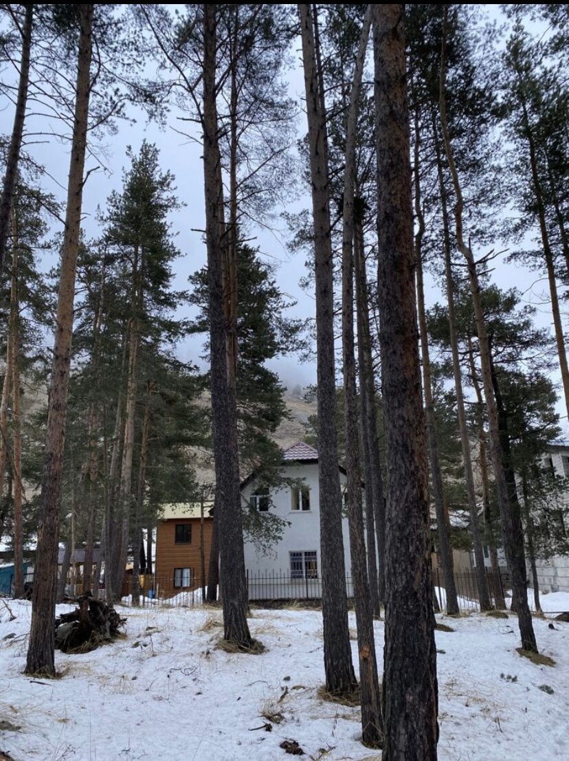 Фото Терскол