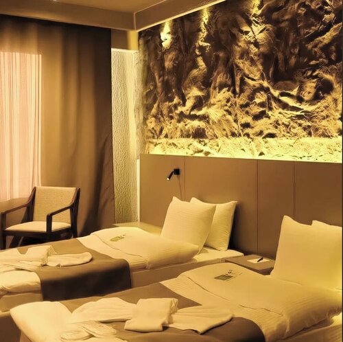 Гостиница The Erzurum Hotel в Азизие