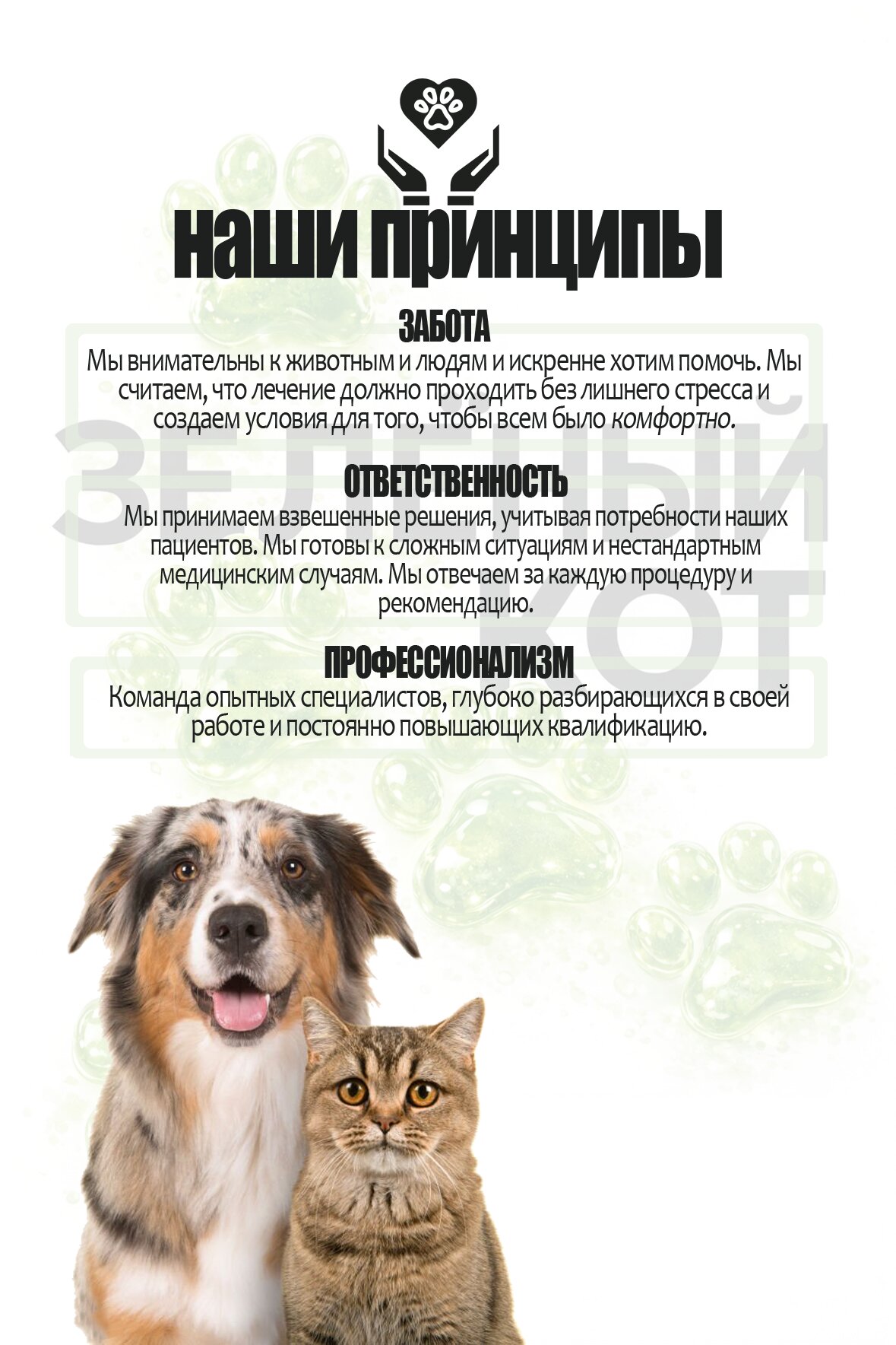 Зелёный кот - фото 2