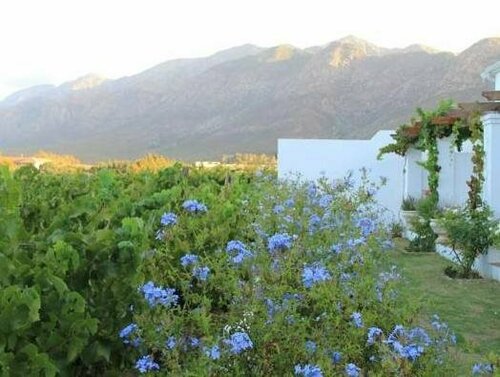 Внешний вид отеля The Vineyard Country House в Муниципалитете Лангеберге, фото 5