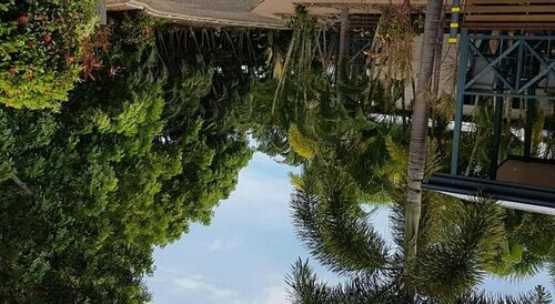 Гостиница Coral Coast Tourist Park в Таунсвилле