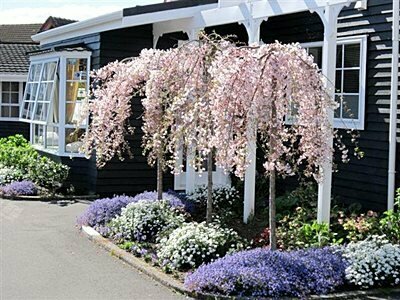Гостиница Cottage Mews Motel в Таупо