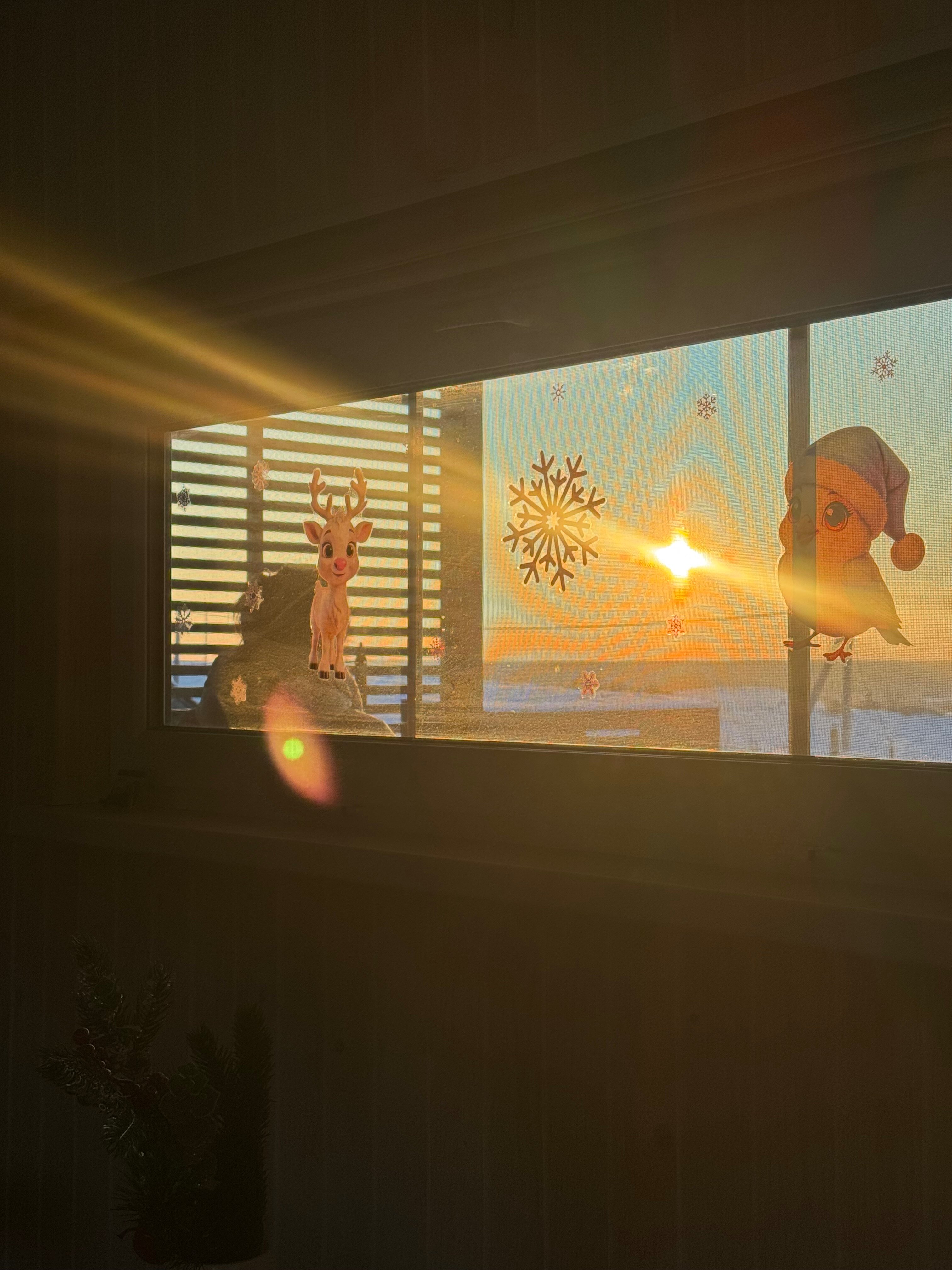 Фото Экодом