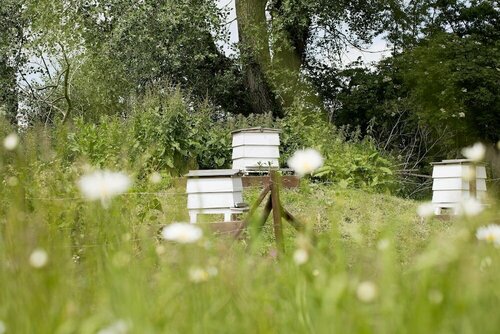 Гостиница Old Swan в Графстве Оксфордшир