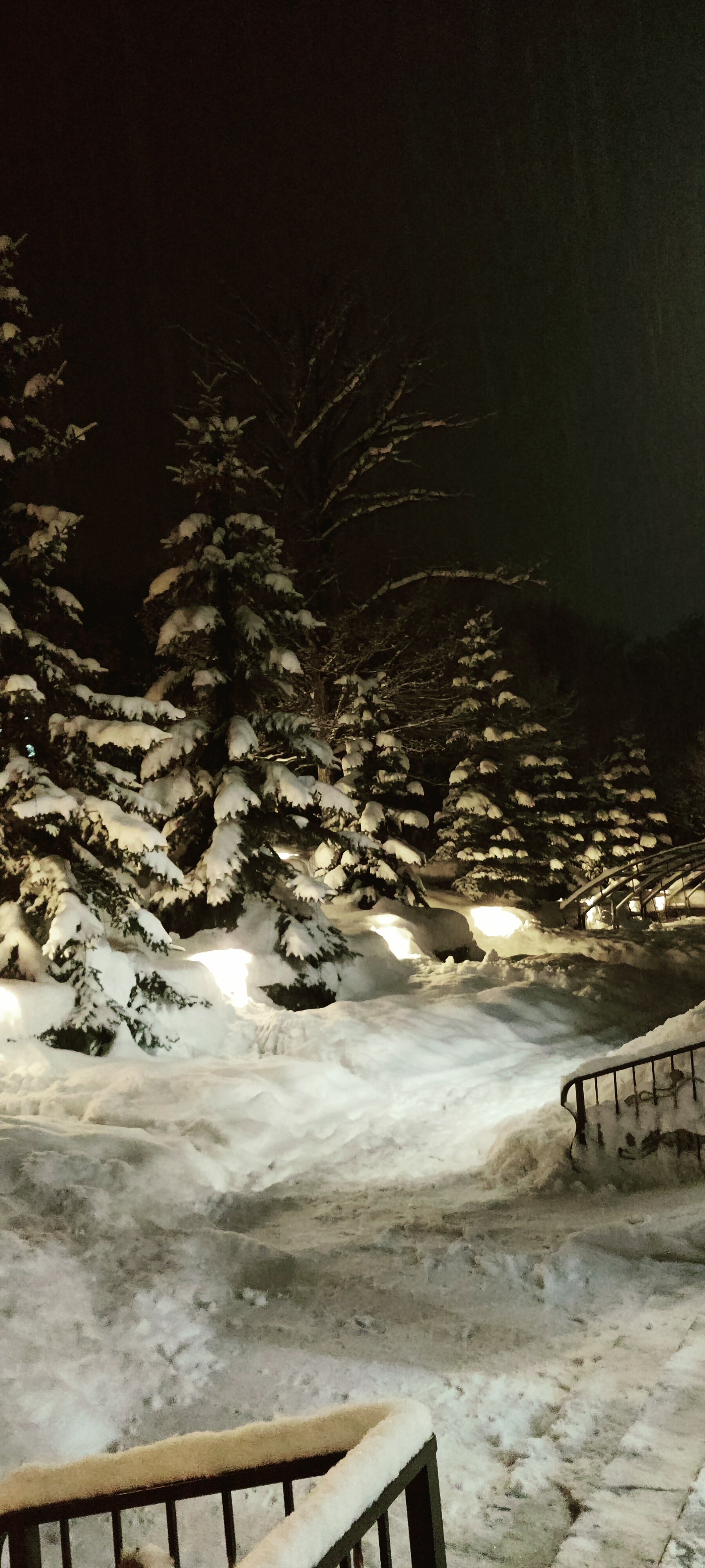 Фото Alpina Resort by Stellar Hotels