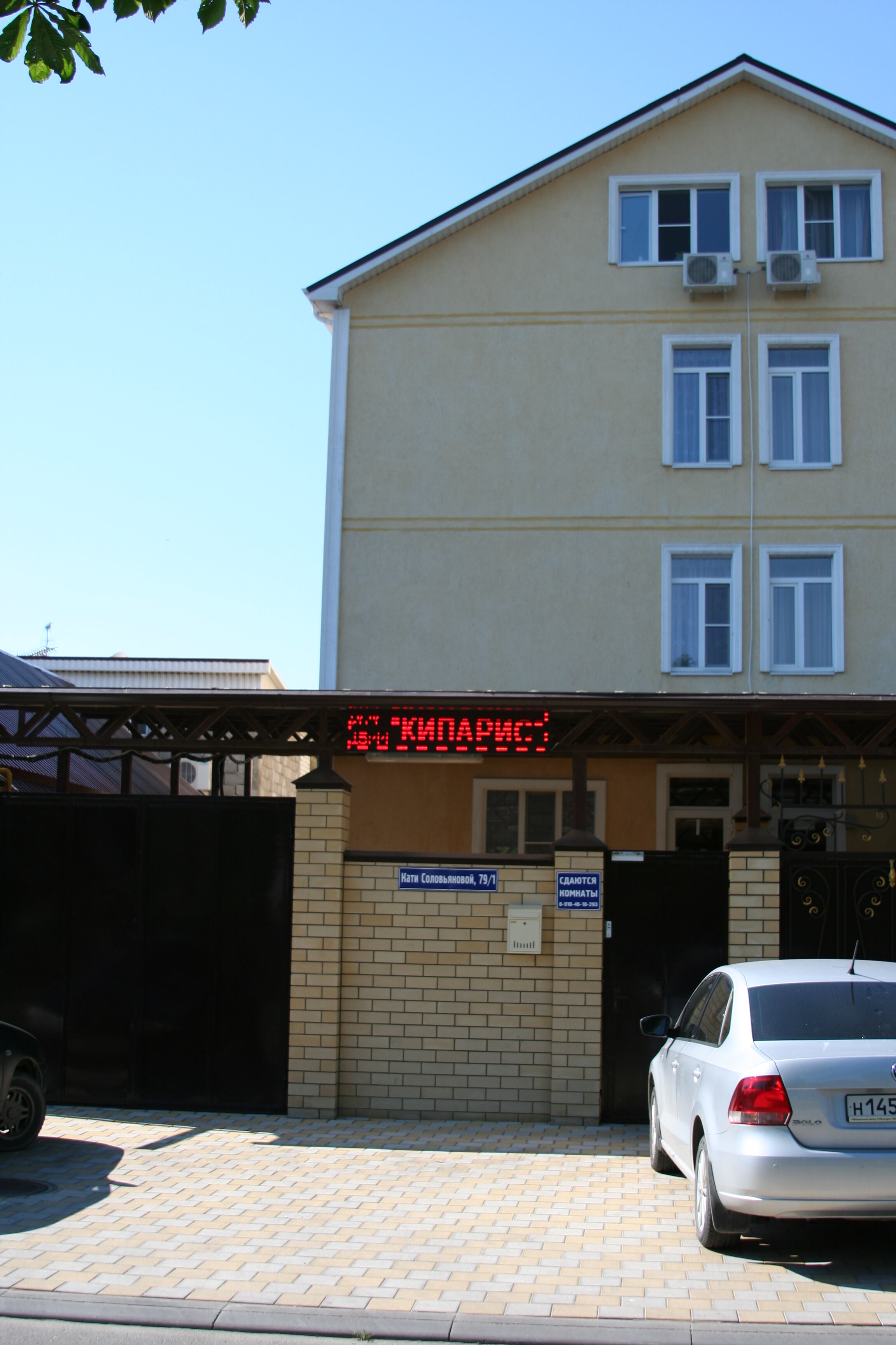 Фото Кипарис