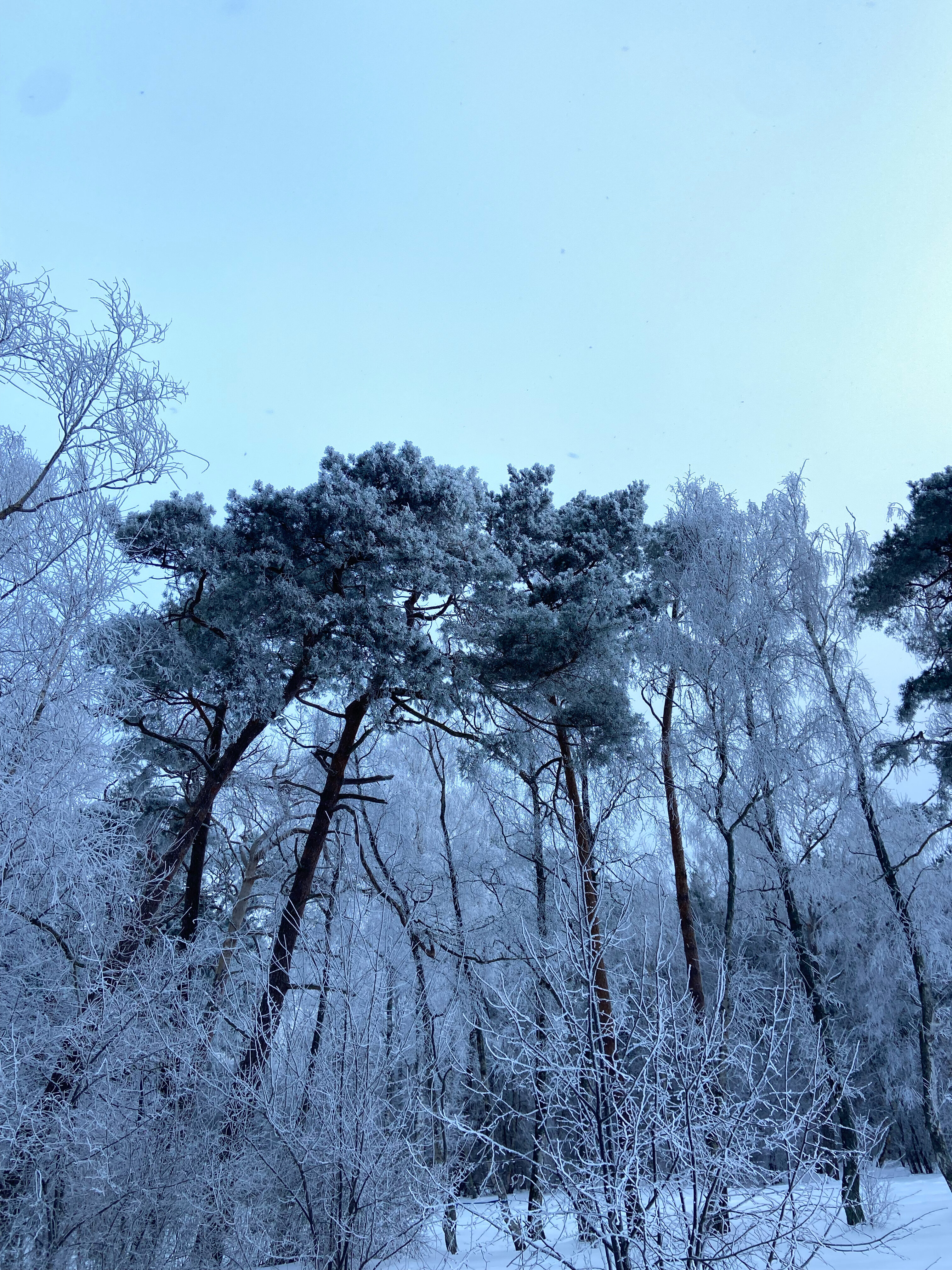 Фото ВитТех