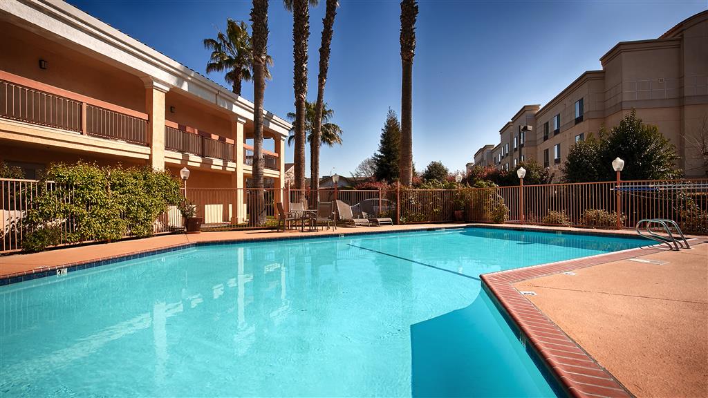 Фото Best Western Palm Court Inn