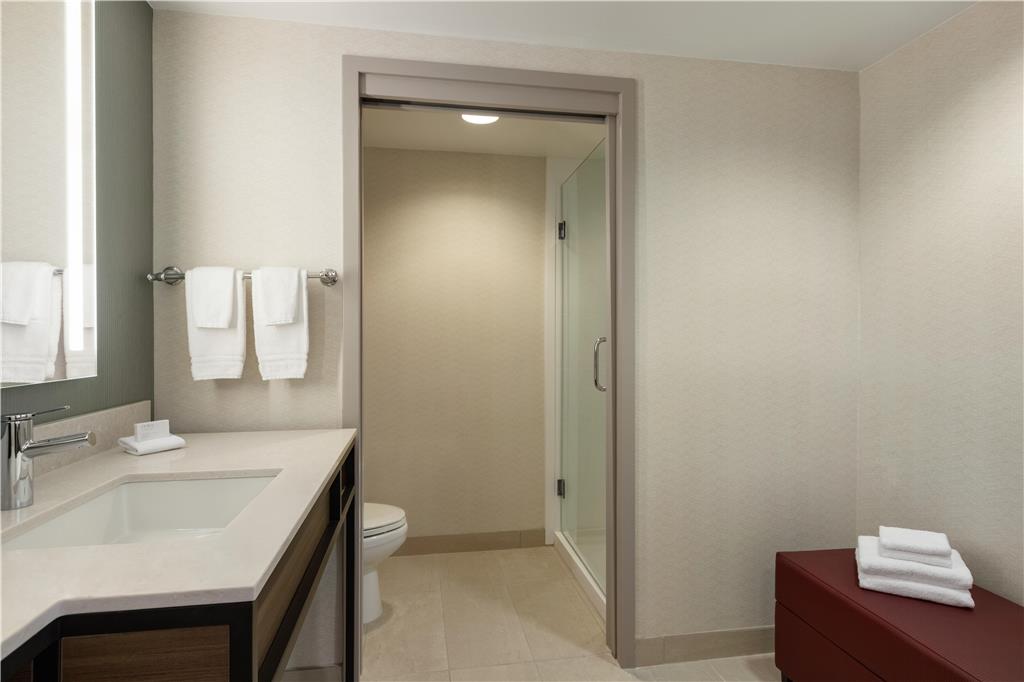 Фото Hilton Garden Inn Atlanta Downtown