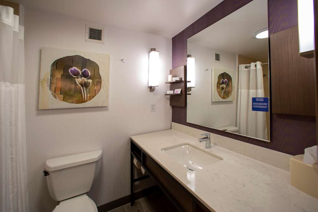 Фото Hilton Garden Inn Rapid City