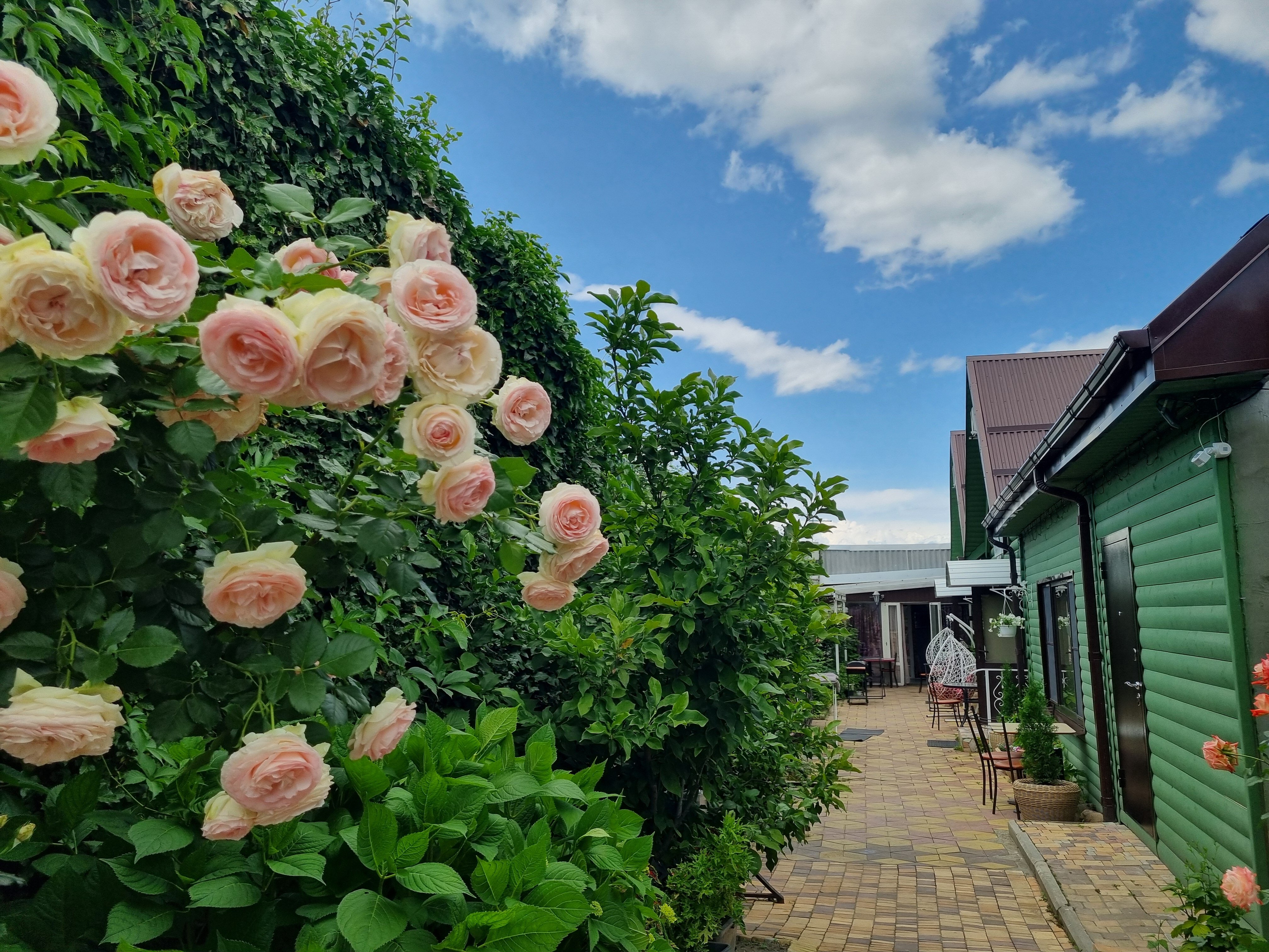 Фото Green House