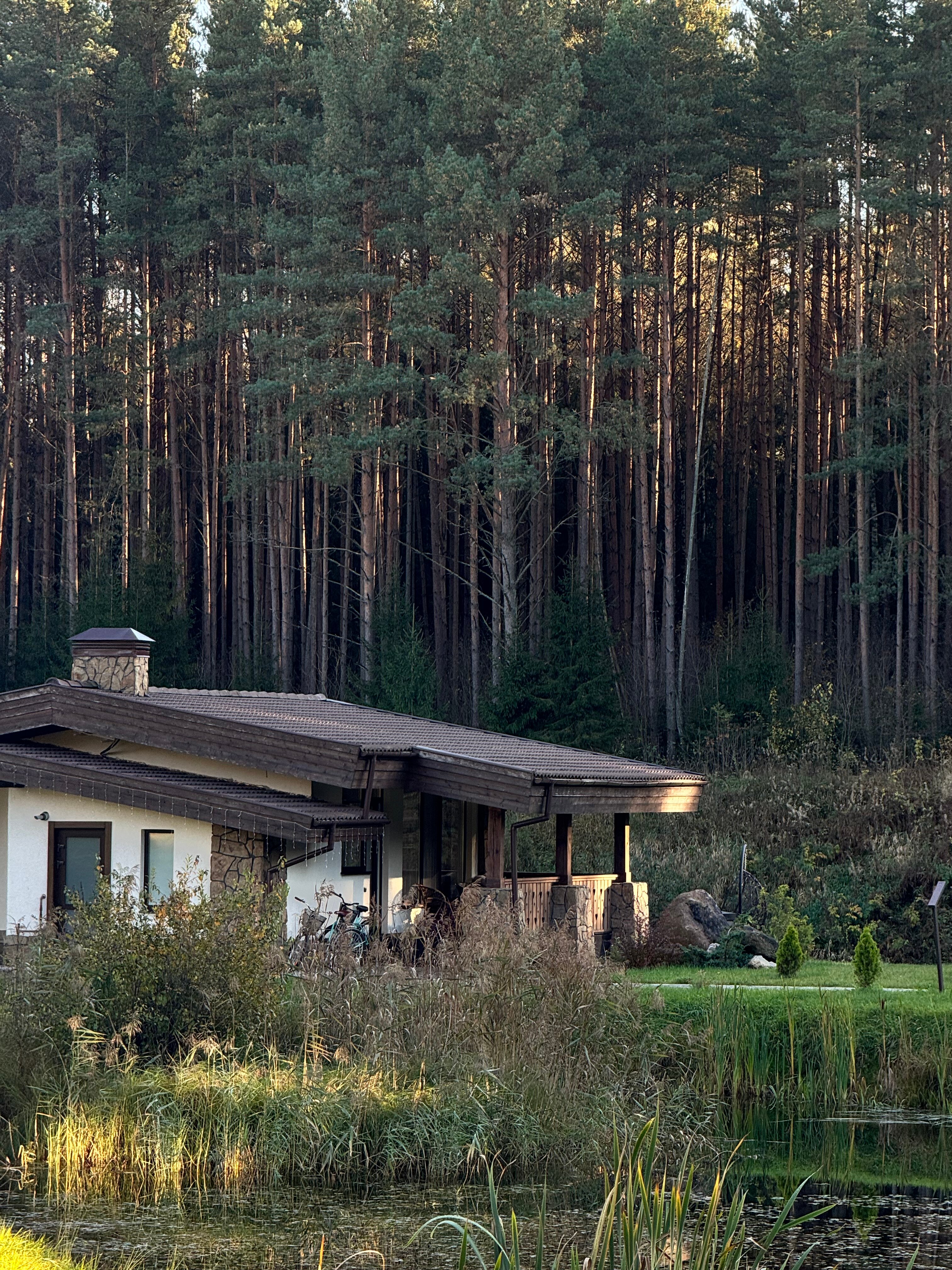 Фото ГлинтВуд