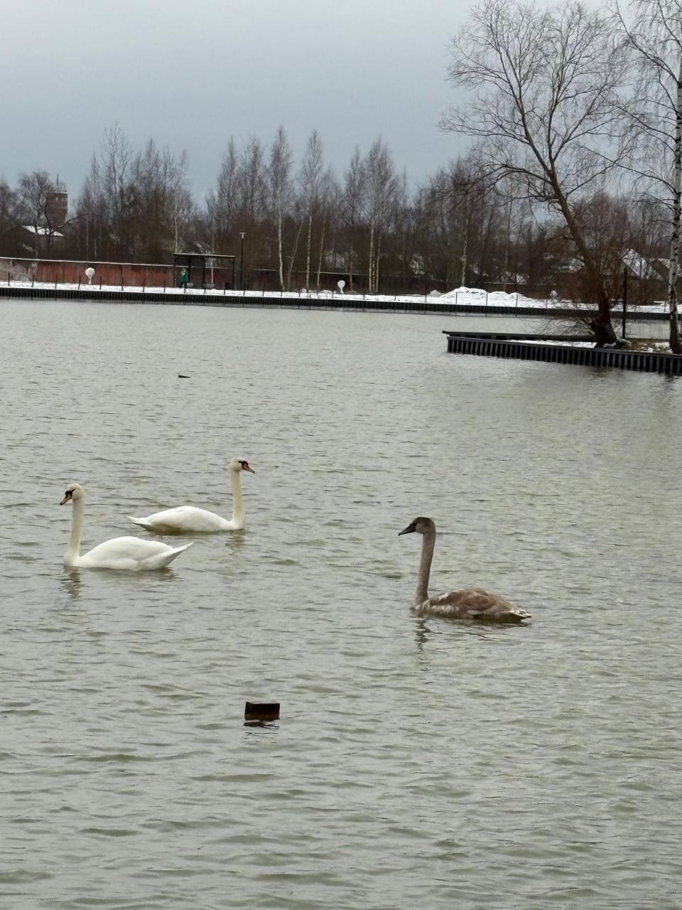 Фото Санта Русса