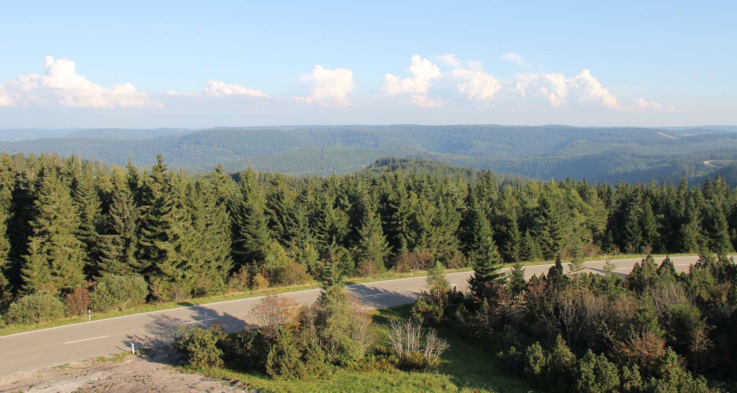 Фото Wellness- & Nationalpark Hotel Schliffkopf
