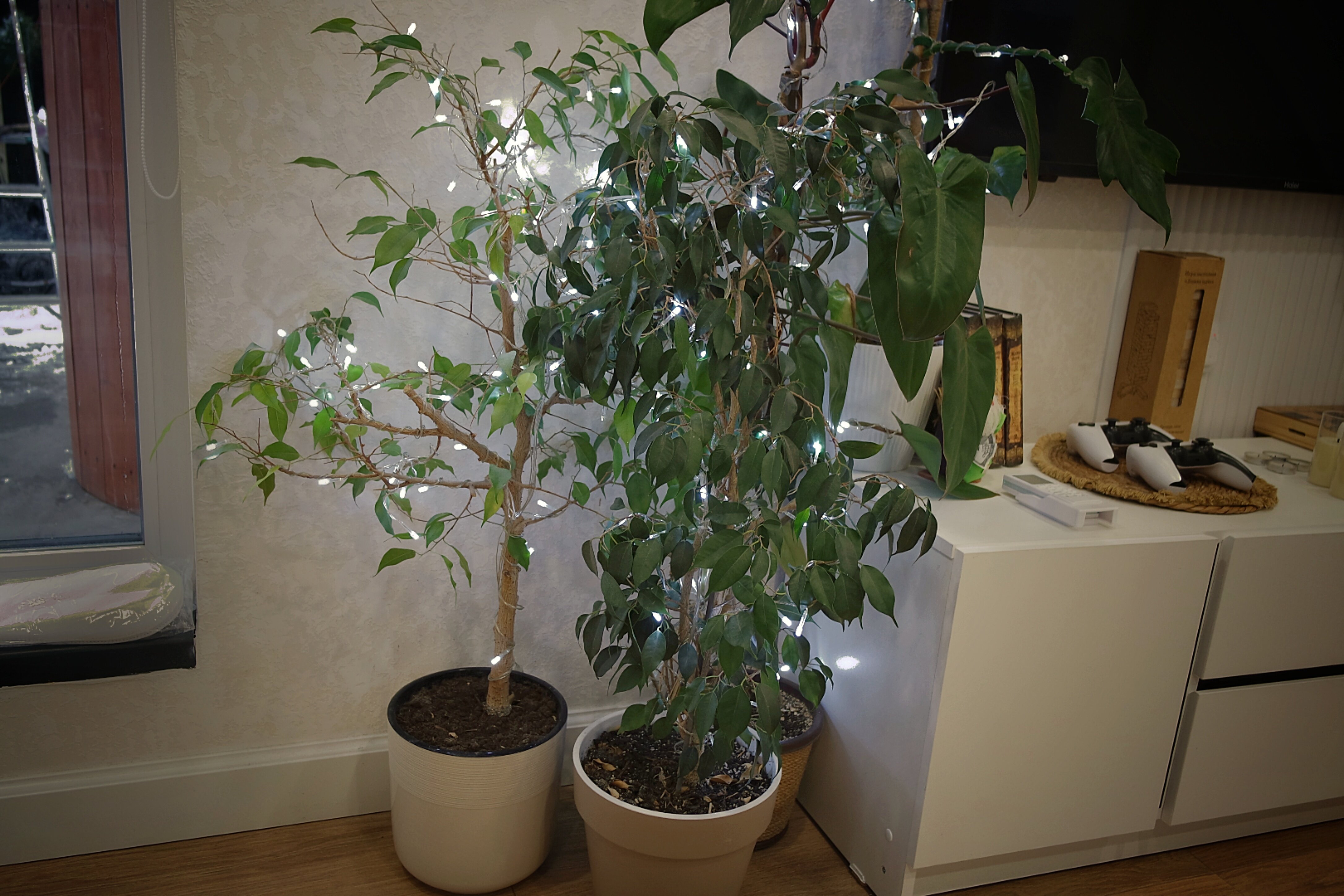 Фото Шёпот Ветра