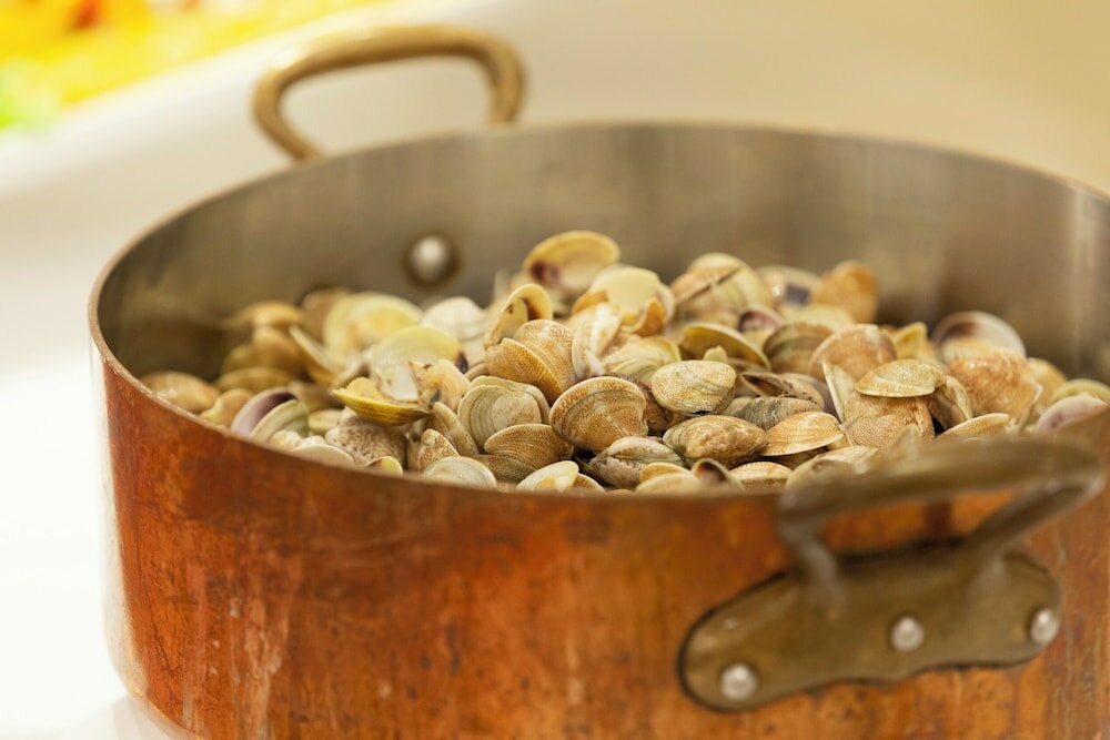 Фото Hotel Feldberg