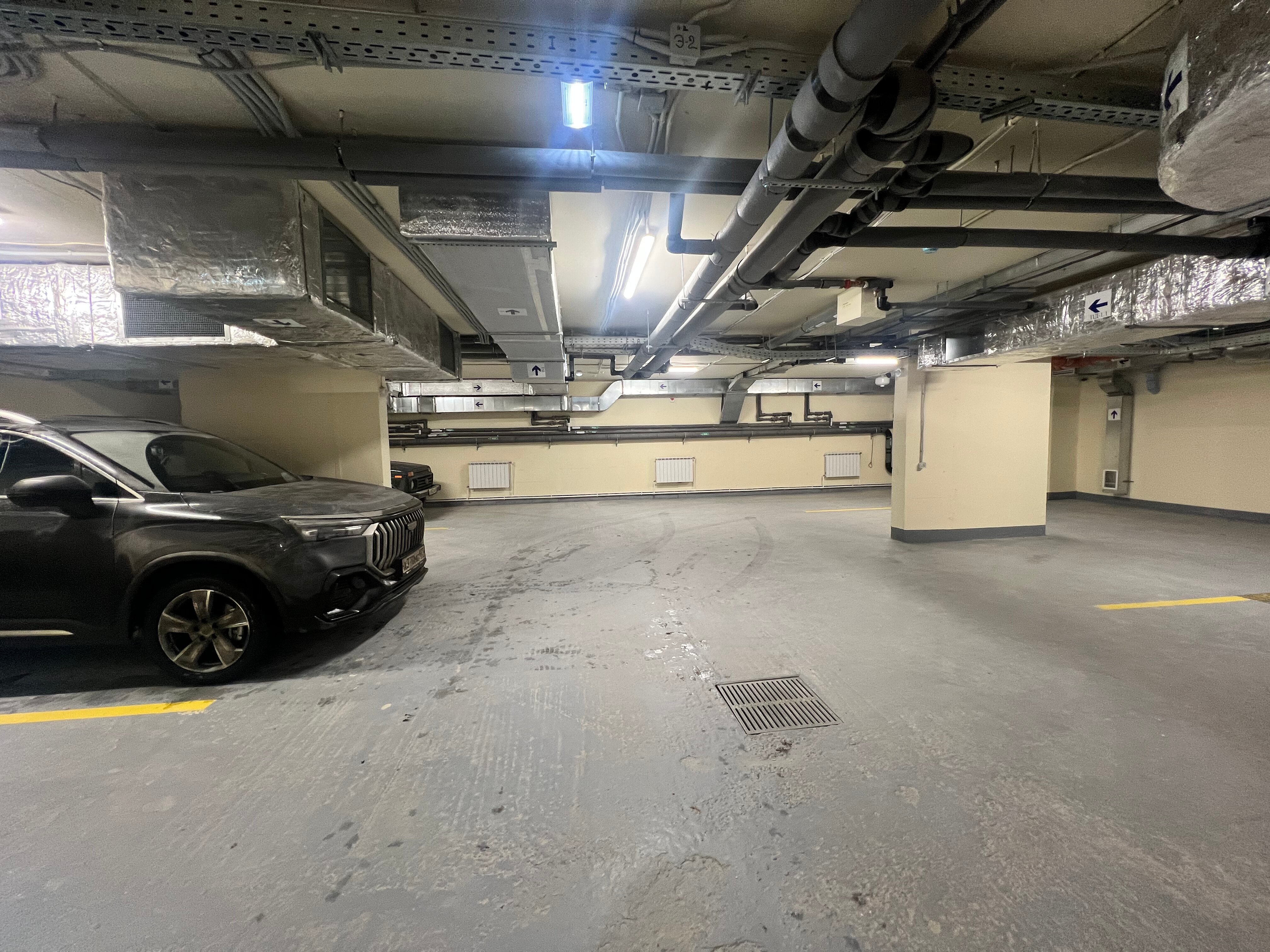 Фото Доминанта