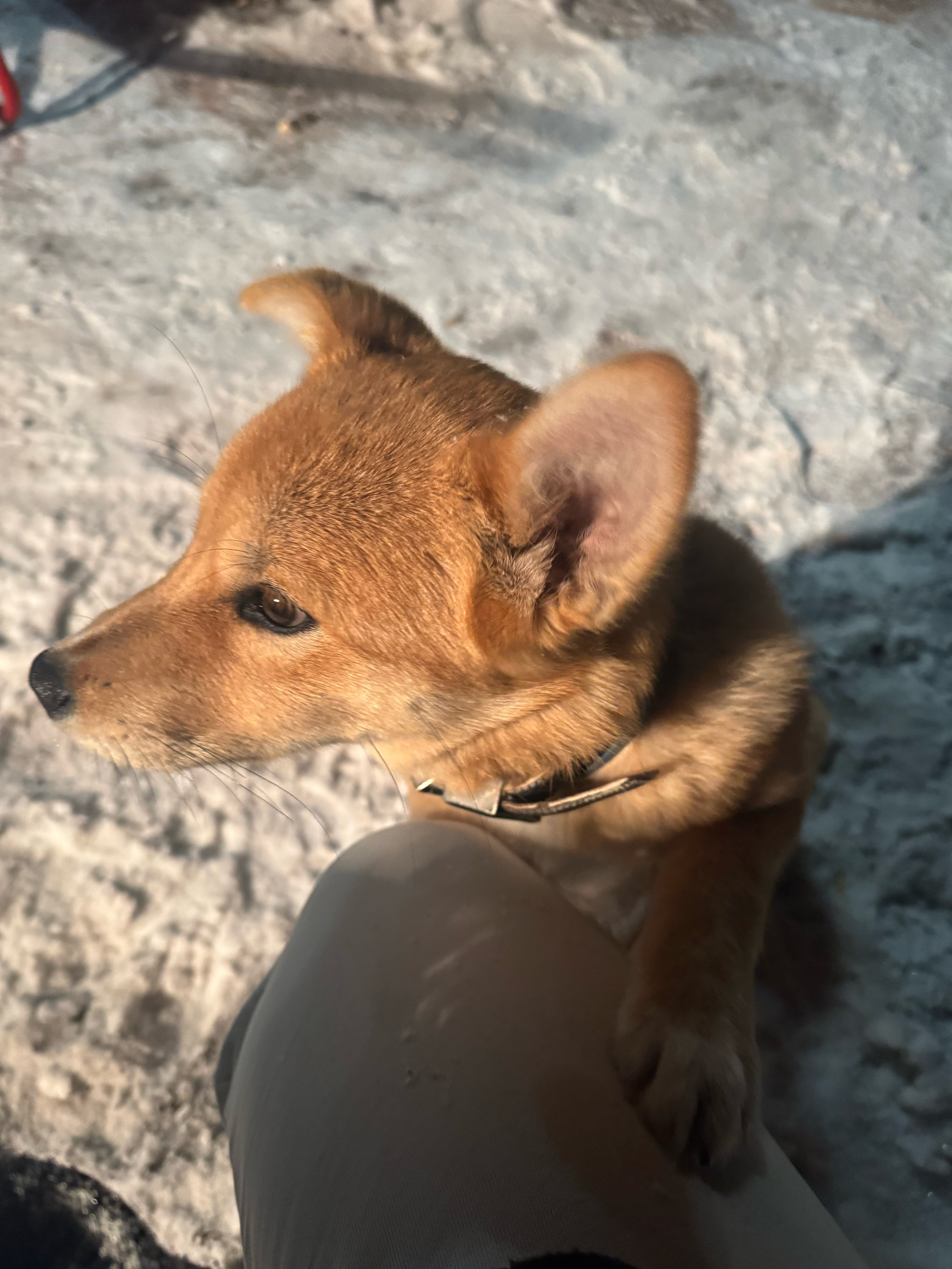 Фото Rassvet House Togliatti