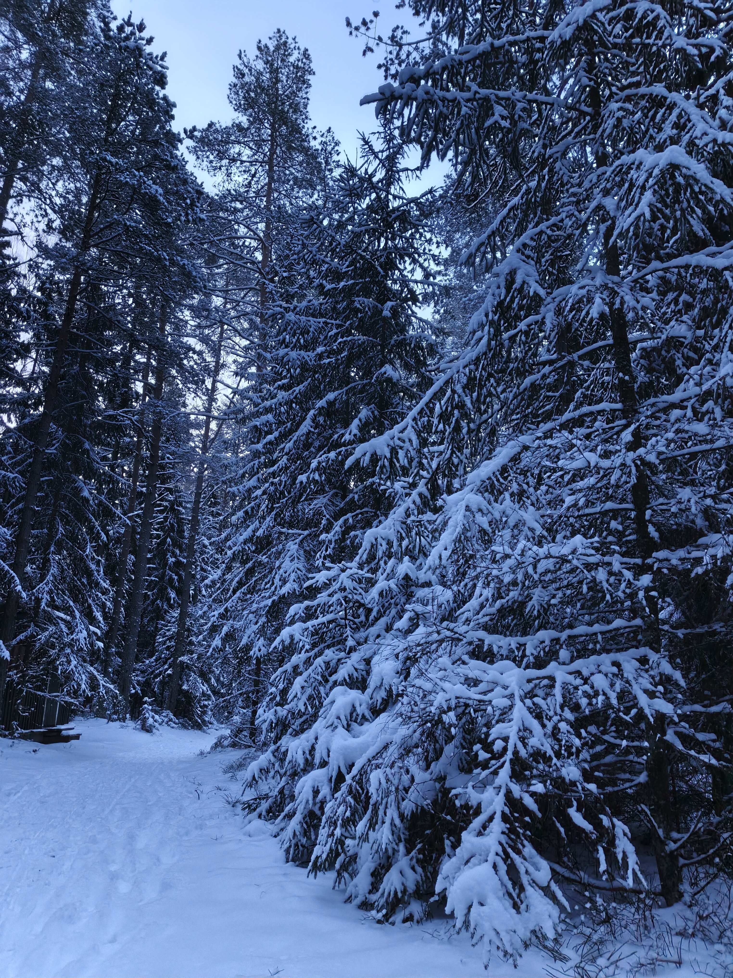Фото Янтарный Берег