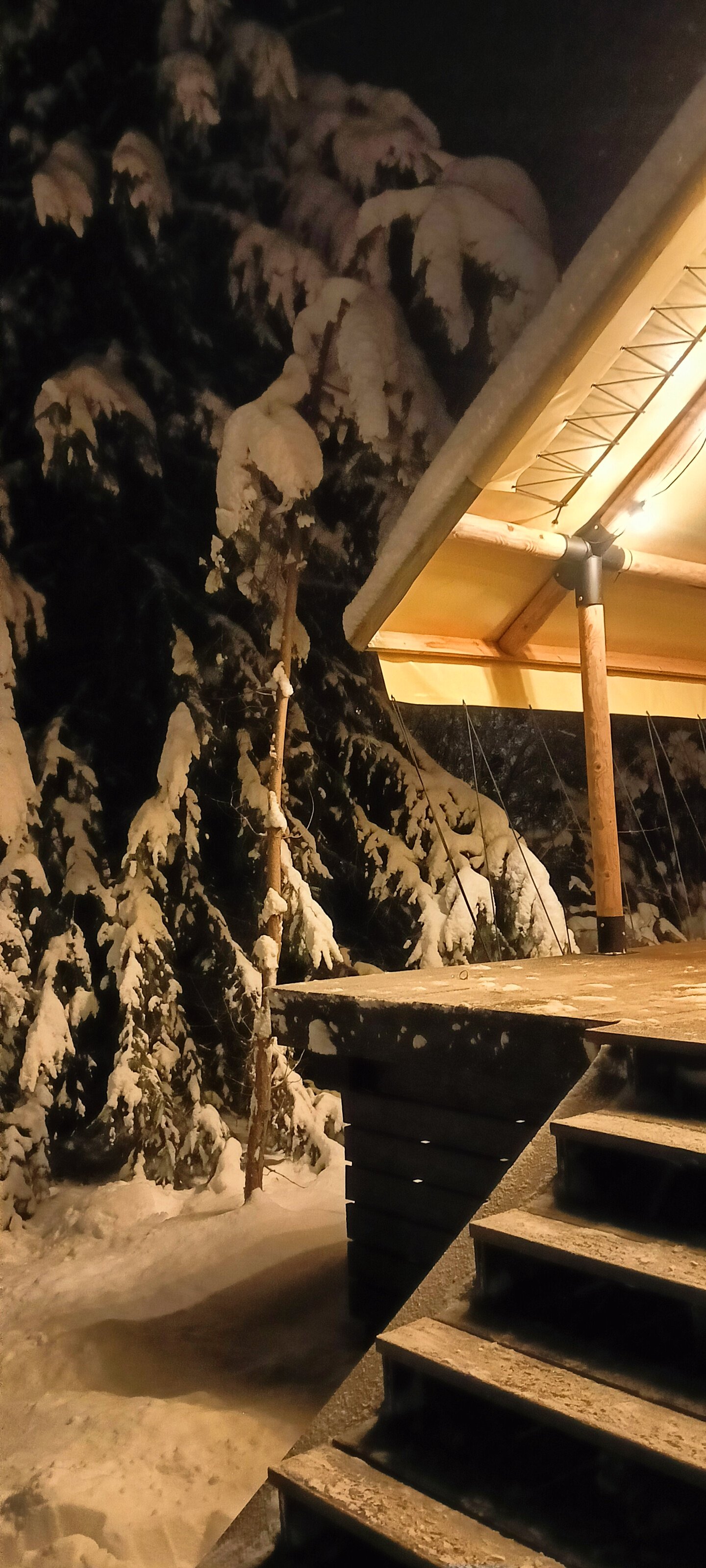 Фото Глэмпинг Видомлицы