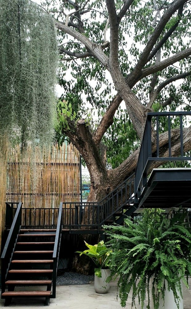 Фото Amara Resort Hua Hin