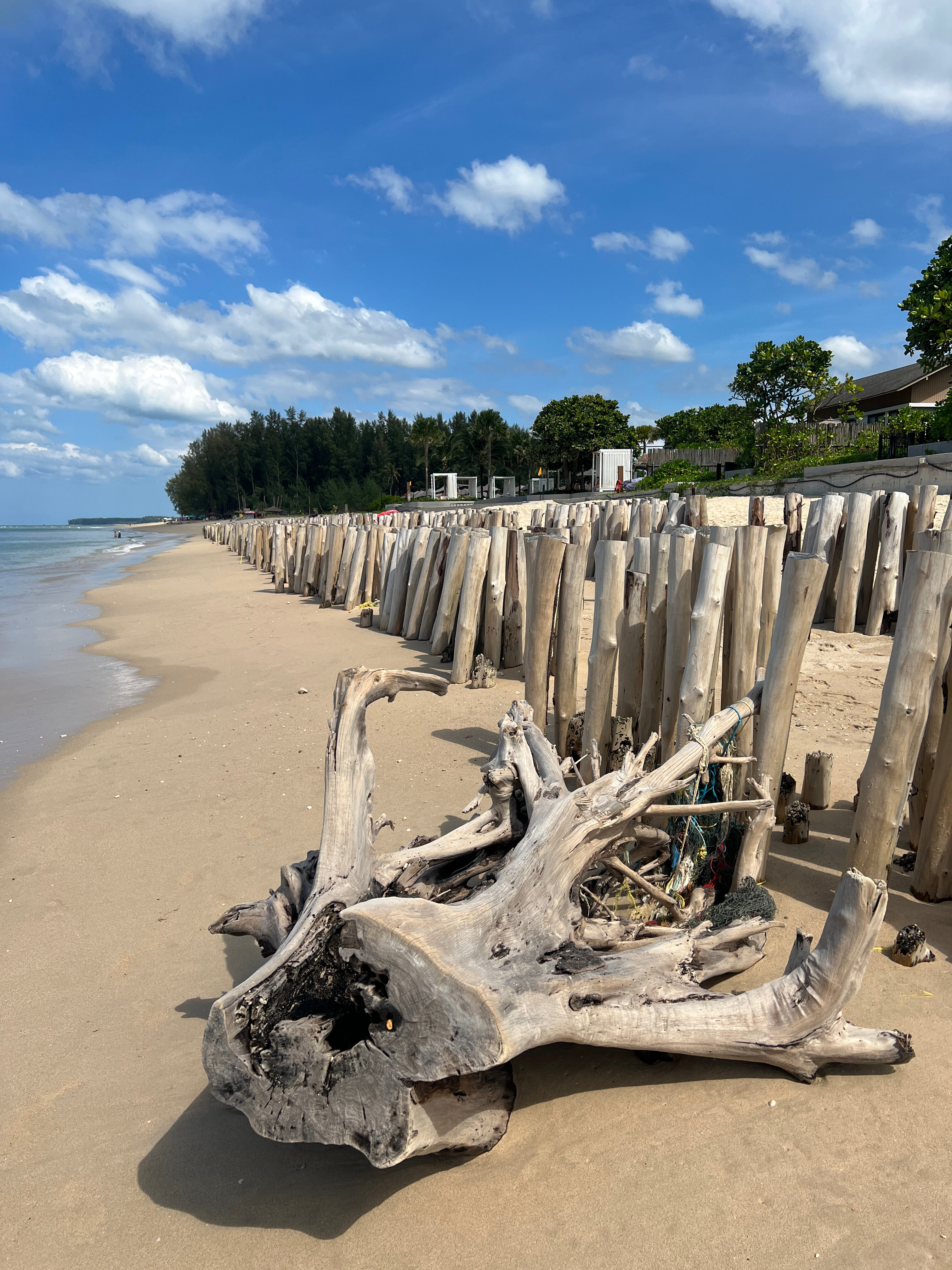 Фото Khao Lak Marriott Beach Resort & SPA