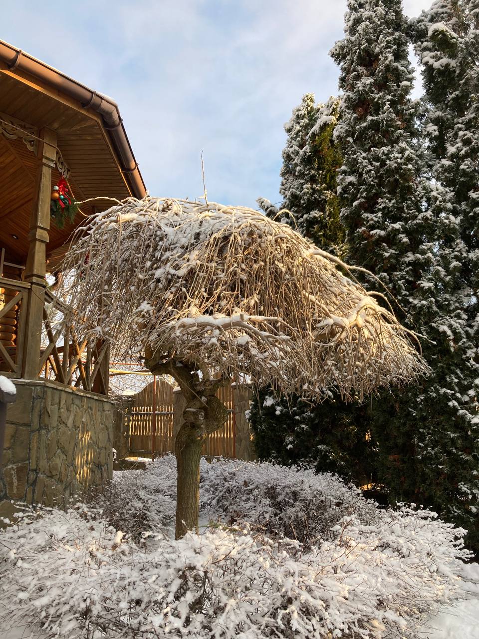 Фото Райский уголок