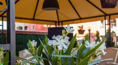 Гостиница Хотел Миляна в Равде