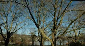 отель Backpackers Luzern