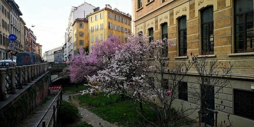 Style Homes Brera