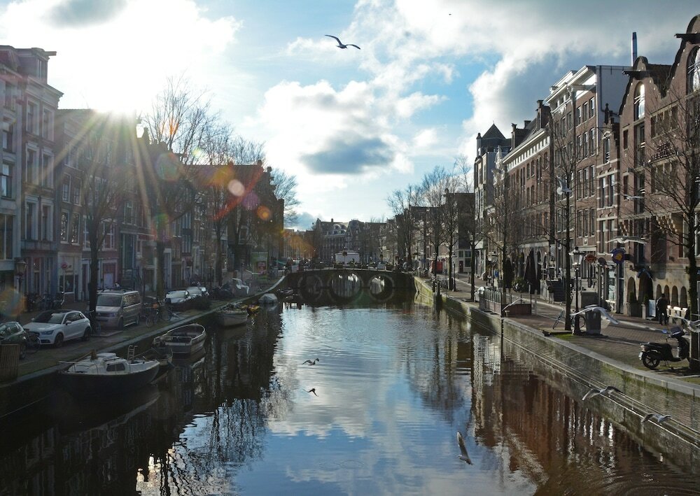 Фото Pillows Anna van den Vondel