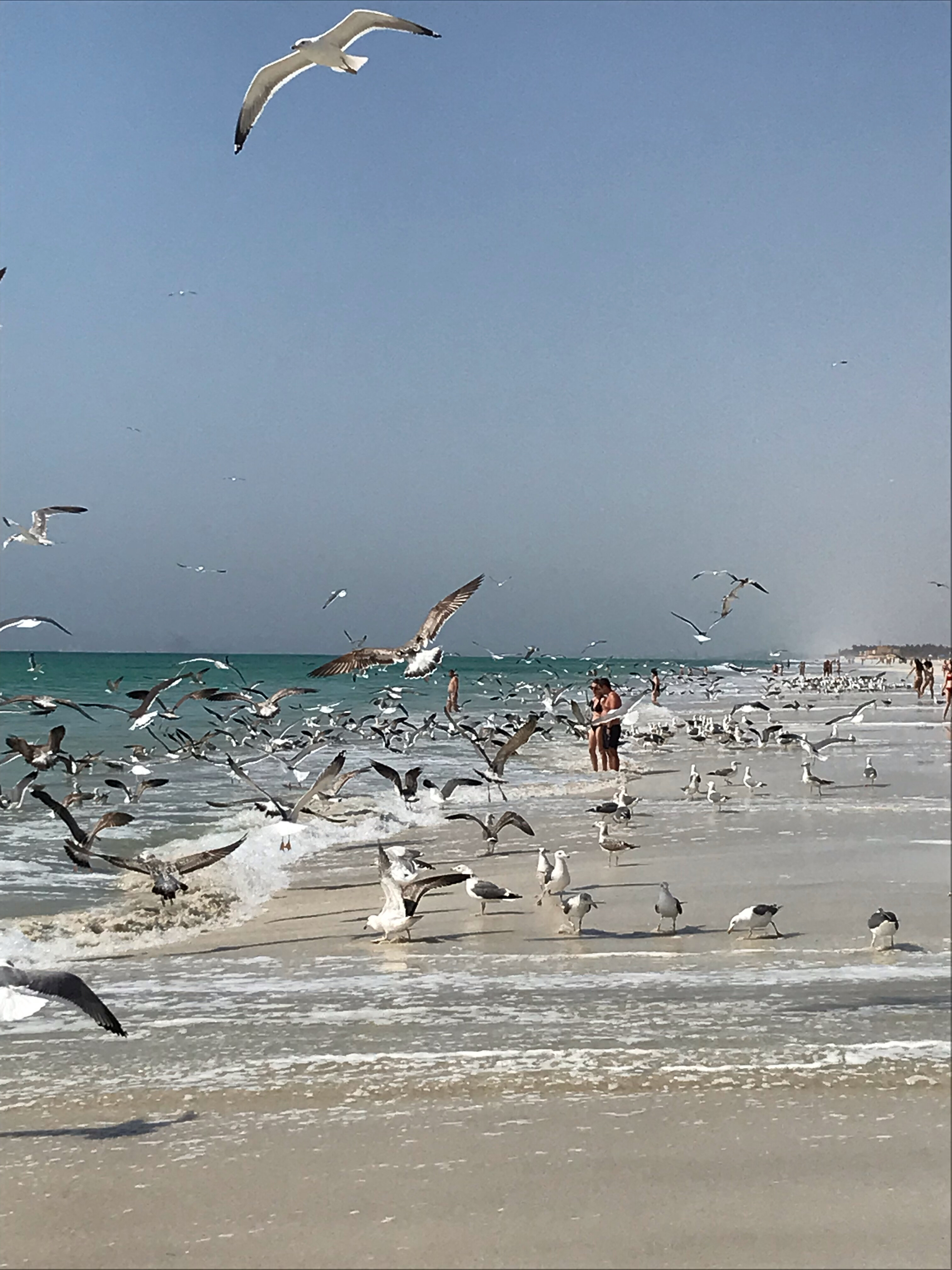 Фото Salalah International Hotel