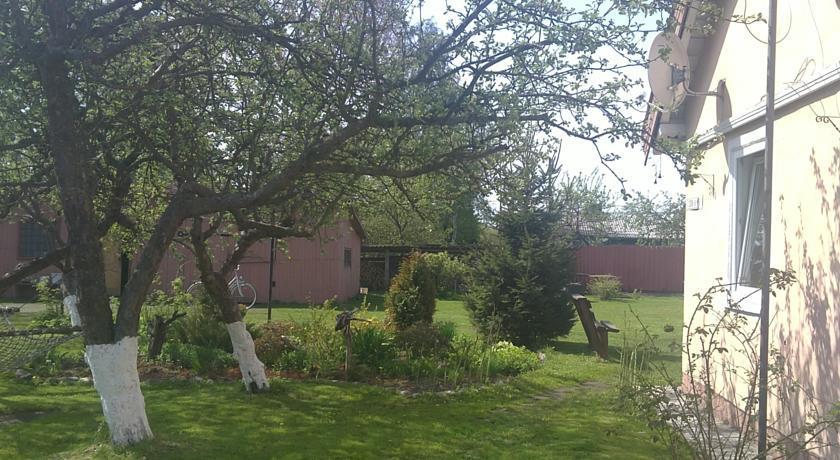 Фото Зеленый Сад