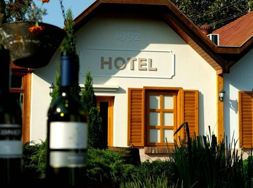 Гостиница Hotel Vineyard Inn в Зале
