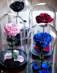Rose4Love (Burakova Street, 6с16) ، توصيل باقات الزهور
