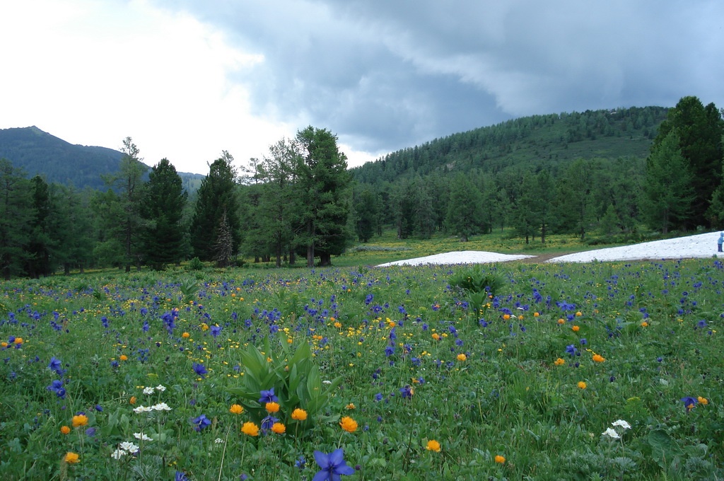 Фото Медвежья гора