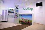 Klever (Soldatova Street, 16), beauty salon
