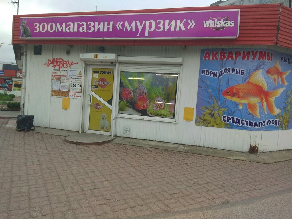 Зоомагазины В Калининграде Интернет Магазин