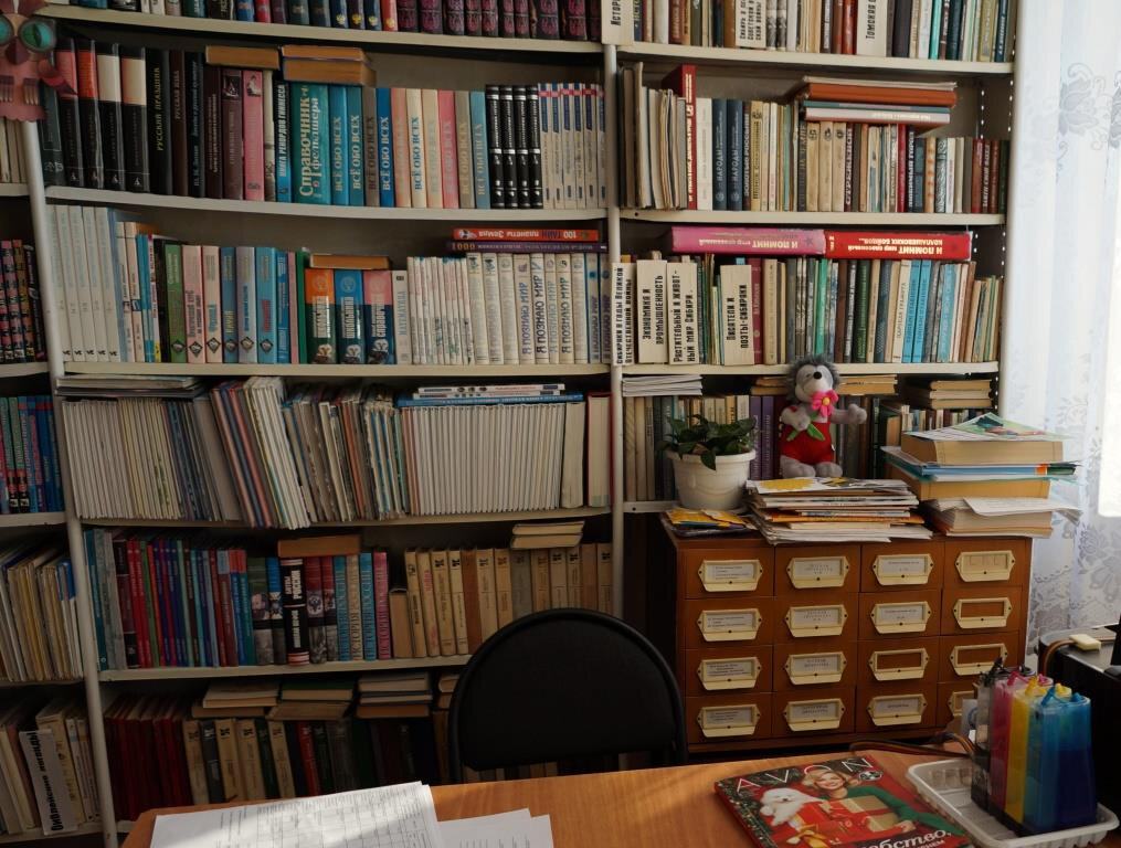 Library Отдел библиотечного обслуживания № 8 д. Новогорное, Tomsk District, photo