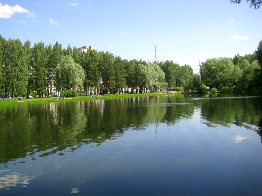 Сосновка парк в санкт петербурге