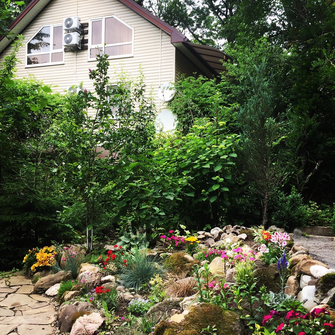 Фото Никель