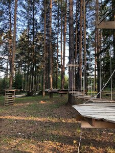 Новая Волна