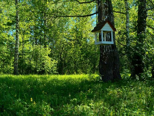 Гостиница Белый Камень