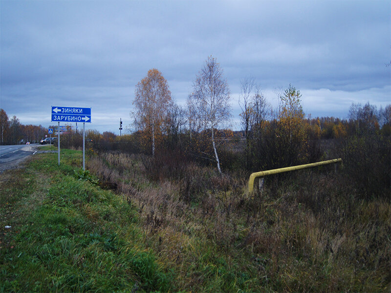 Зиняки нижегородская область карта