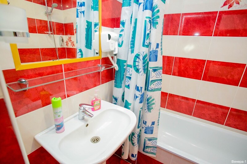 Фото Венера-1