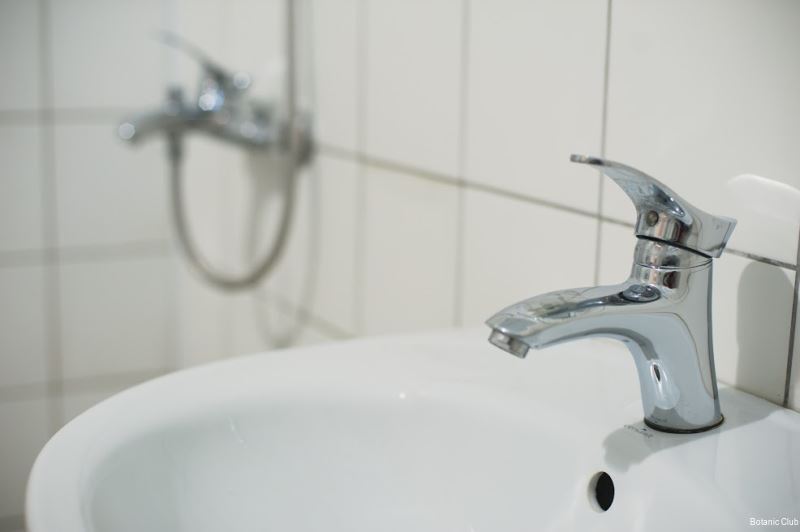 Фото Ботаник