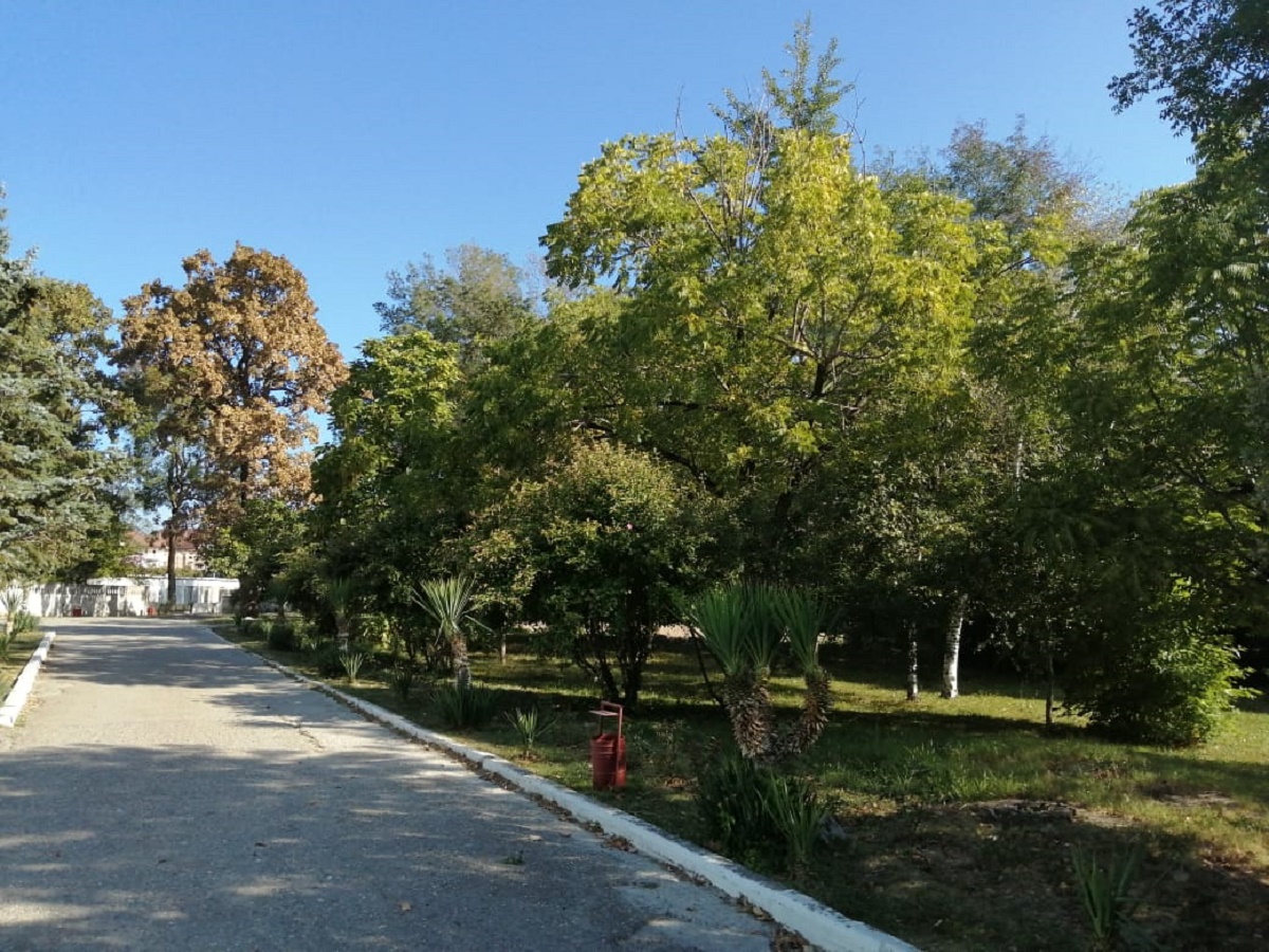 Фото Парк-отель Джубга