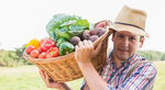 Farmer Online (Rzhavieckaja Street, 5), e-commerce