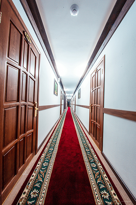 Фото Метелица