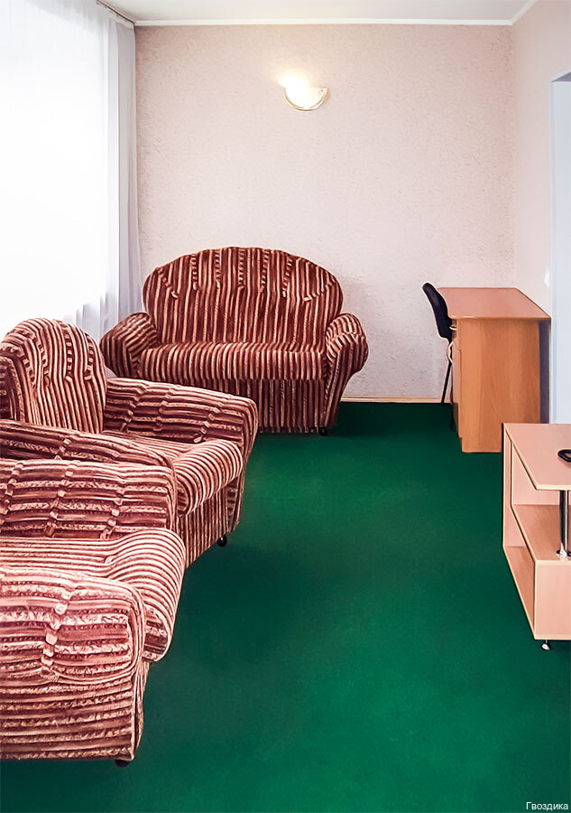 Фото Гвоздика